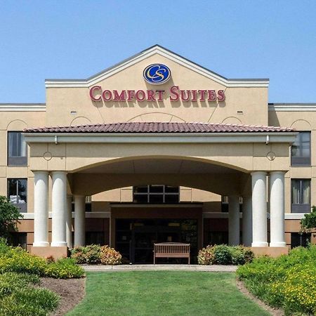 סטארקוויל Comfort Suites מראה חיצוני תמונה