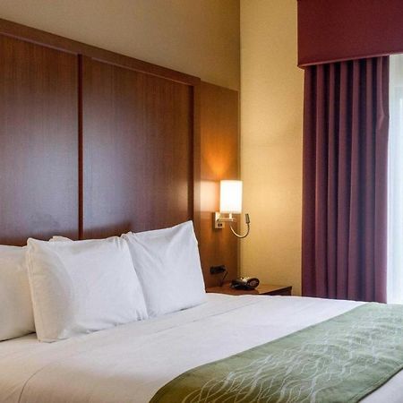 סטארקוויל Comfort Suites מראה חיצוני תמונה