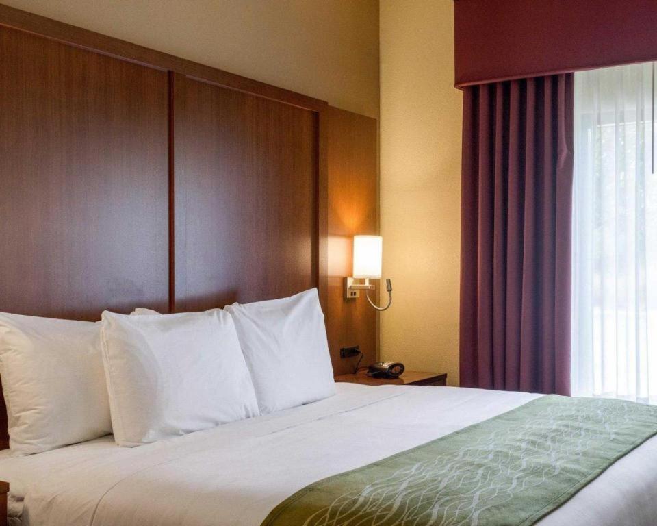 סטארקוויל Comfort Suites מראה חיצוני תמונה