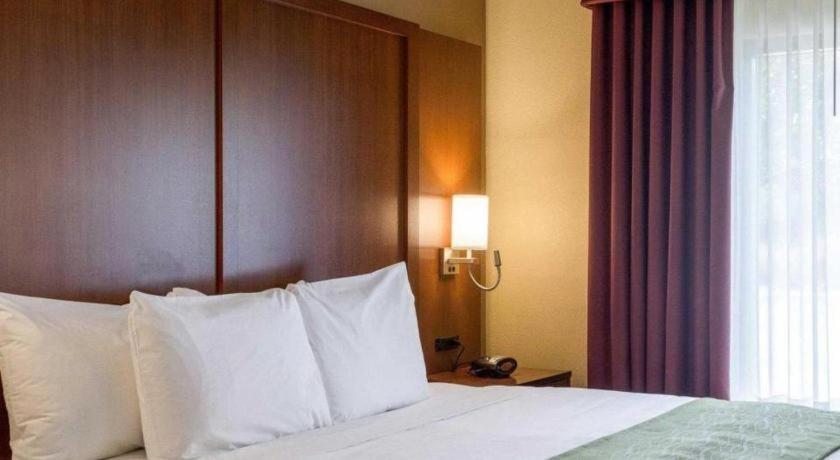 סטארקוויל Comfort Suites מראה חיצוני תמונה