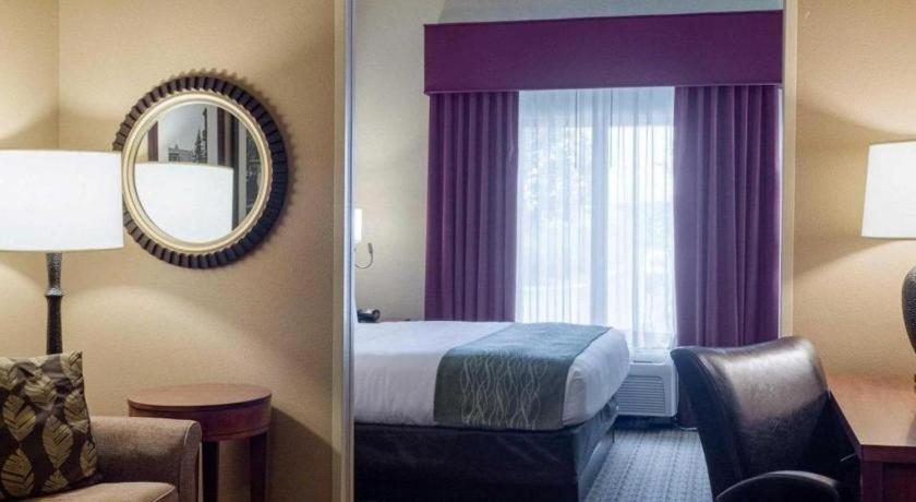 סטארקוויל Comfort Suites מראה חיצוני תמונה