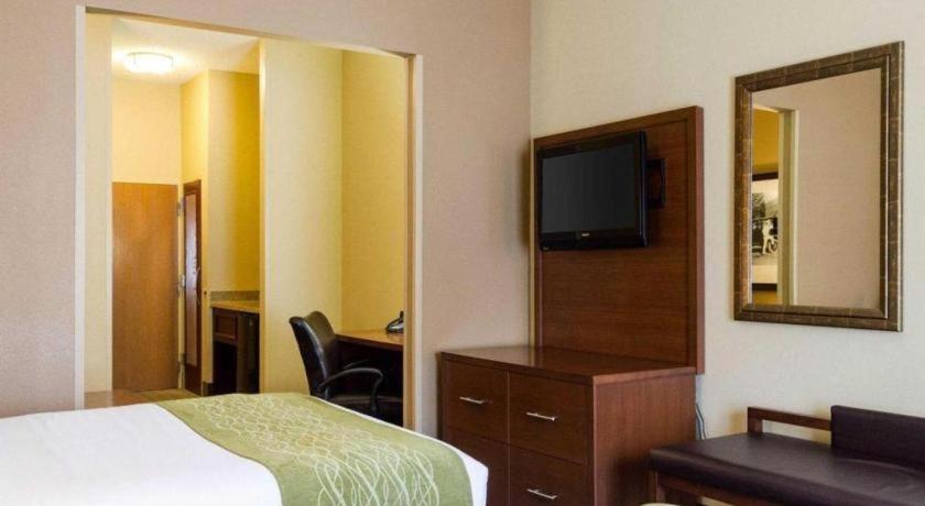 סטארקוויל Comfort Suites מראה חיצוני תמונה